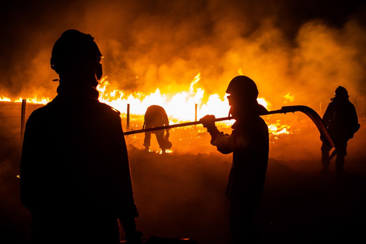 incêndio pantanal mato grosso fogo