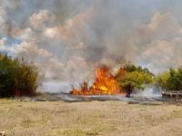 incêndio - fogo - focos de incêndio - incêndios em vegetações - rs