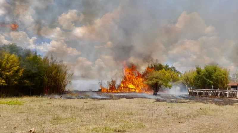 incêndio - fogo - focos de incêndio - incêndios em vegetações - rs