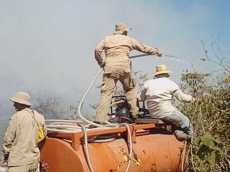 incêndio pantanal mato grosso do sul