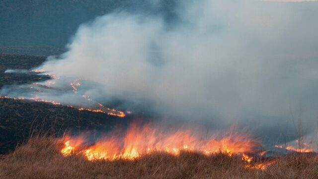 incêndio em área rural no Paraná
