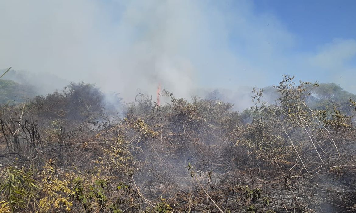 incêndios e estiagem deixam cidades de mato grosso do sul em situação de emergência - ascom cbm-ms