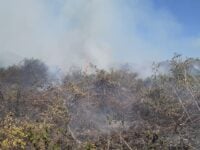 incêndios no pantanal - cbm-ms