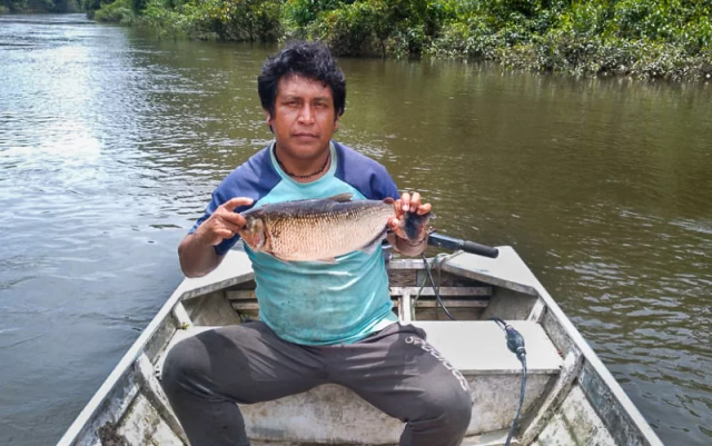 indígenas, peixes