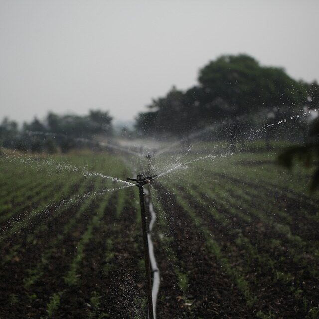 irrigação