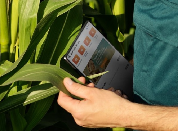 Aplicativos e sistemas digitais transformam a experiência e a rotina de agricultores