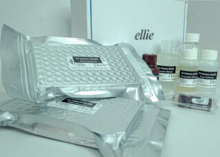 kit tuberculose bovina