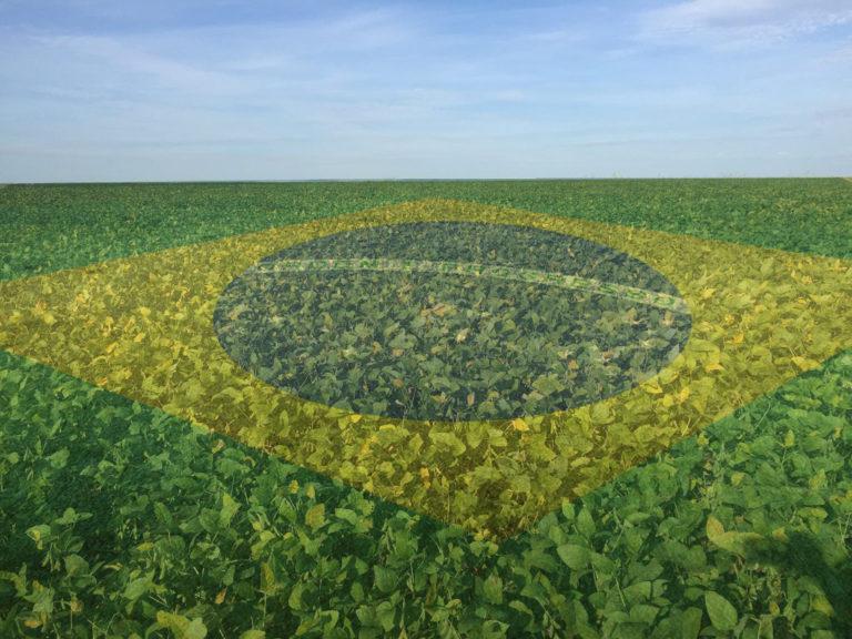 lavoura com bandeira do brasil agricultura