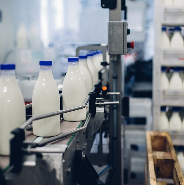 mercado lácteo - setor lácteo - leite