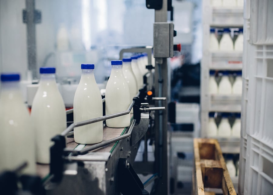 mercado lácteo - setor lácteo - leite