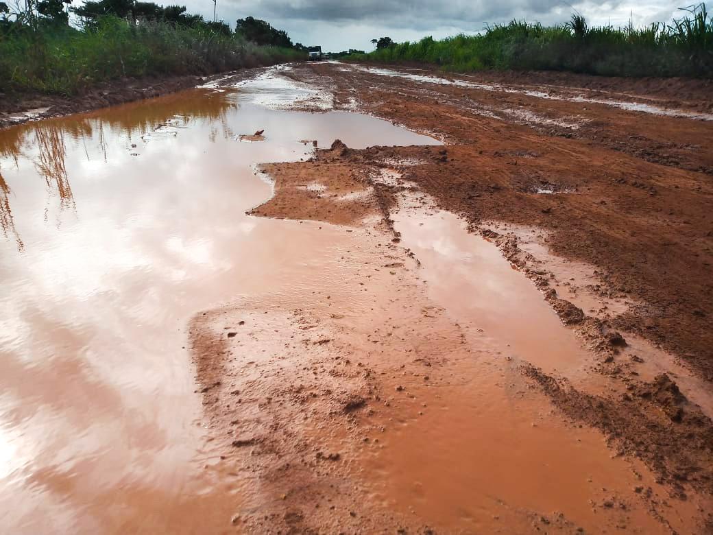 Chuva atrasa colheita, estraga soja e transforma rodovia estadual em manguezal