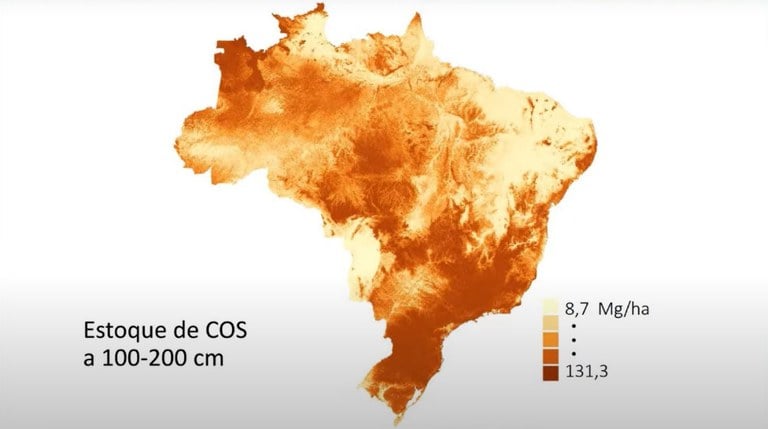 A distribuição espacial do estoque de carbono no solo pode variar de acordo com o tipo de solo, o clima, o material geológico que formou o solo. Foto: Divulgação/Embrapa