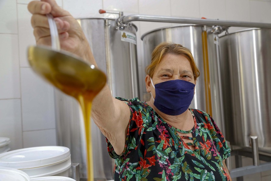 Produção de mel Ortigueira