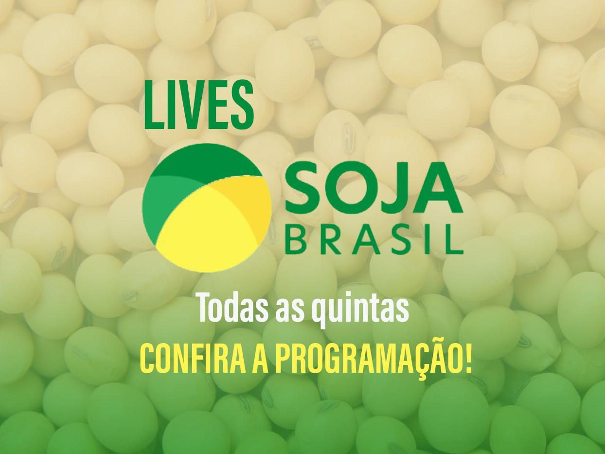 Soja Brasil fará Lives com os principais temas para começar bem a safra