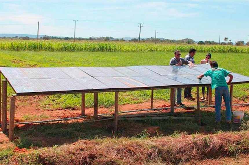 migrogeração solar - agricultura familiar - governo de goiás