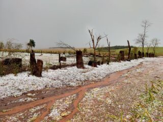 milho, granizo, chuva