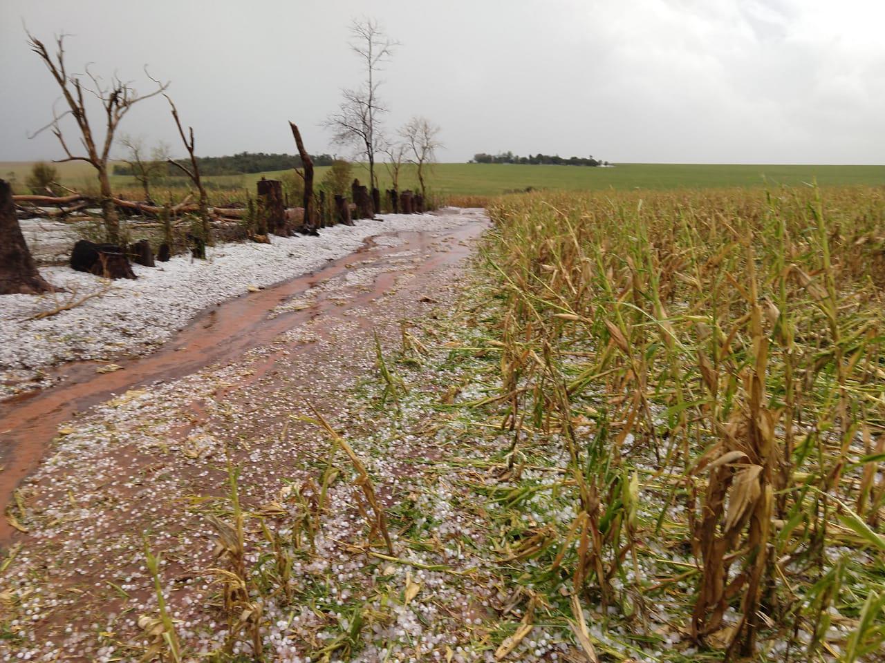 milho, granizo, chuva