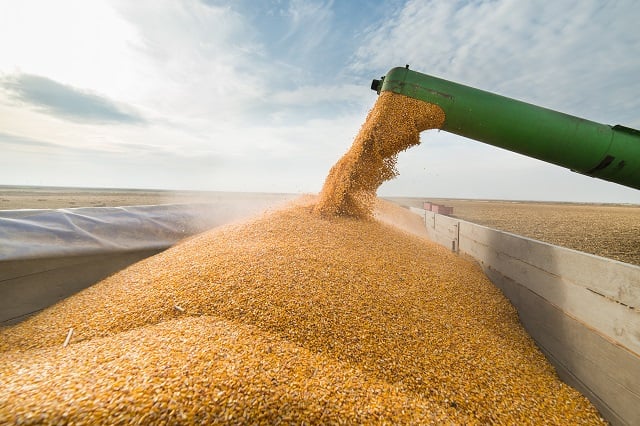 USDA decepciona, mas soja sobe e anima mercado brasileiro