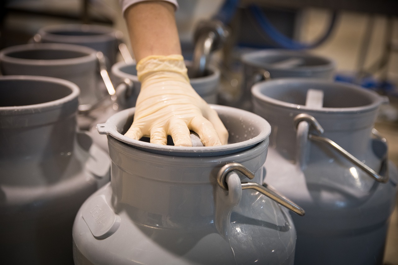 leite, fermento, laticínios