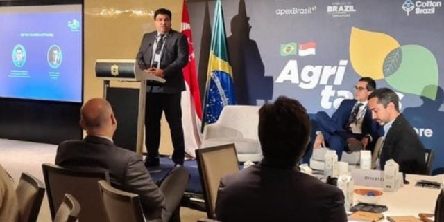 ministério da agricultura e cingapura - mapa - apex
