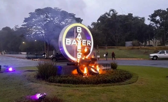 MST vandaliza unidade Bayer no interior de São Paulo