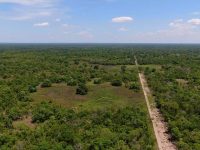 mt sustentável pecuária pantanal mato grosso