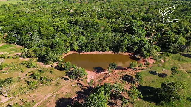 mt sustentável plantar água foto leandro balbino canal rural mato grosso 2
