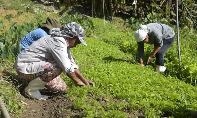 Agricultores - mulheres - agricultura familiar - Observatório das Mulheres Rurais do Brasil