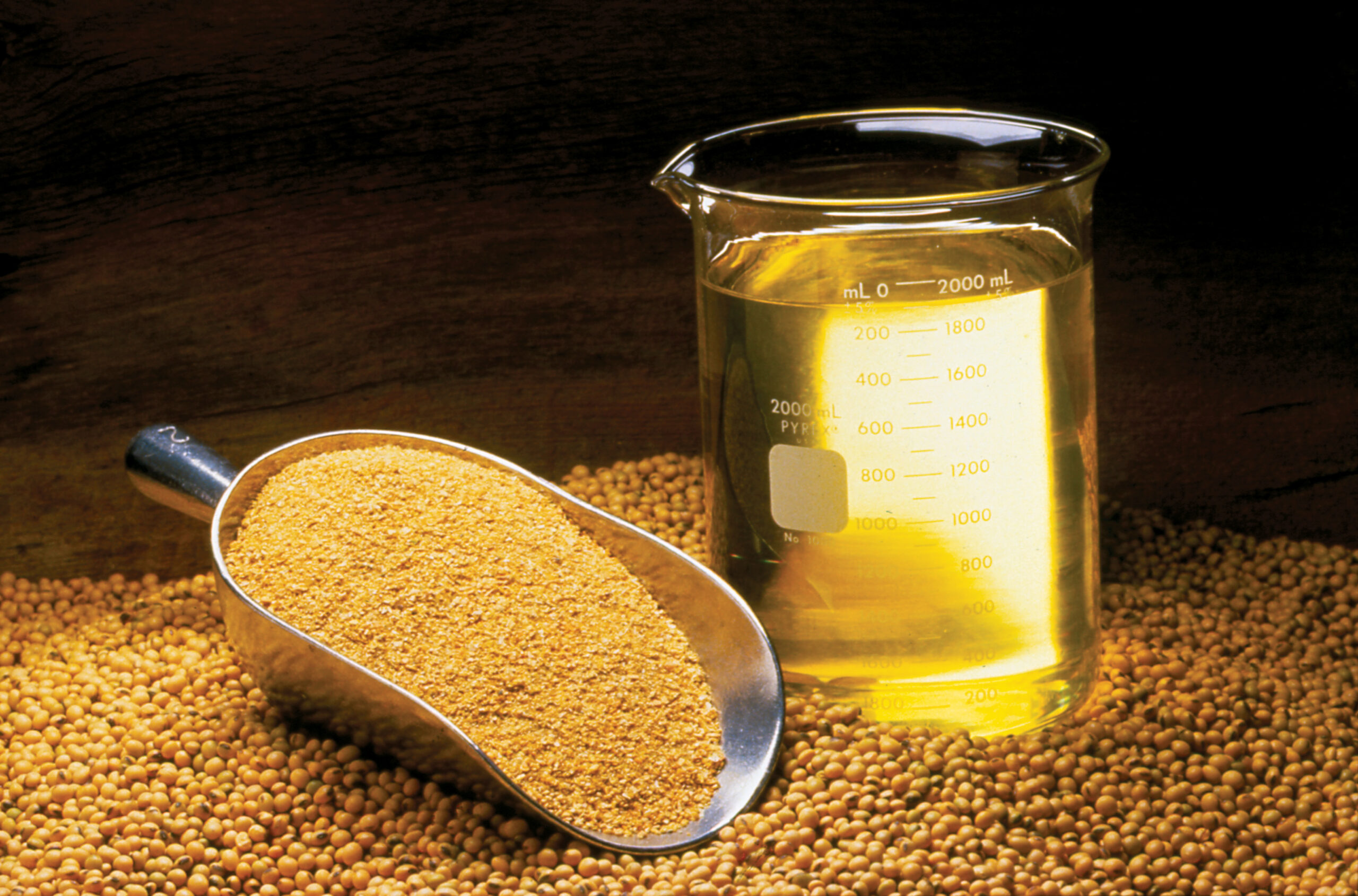 Processamento de soja tem aumento de 5,6%, diz Abiove