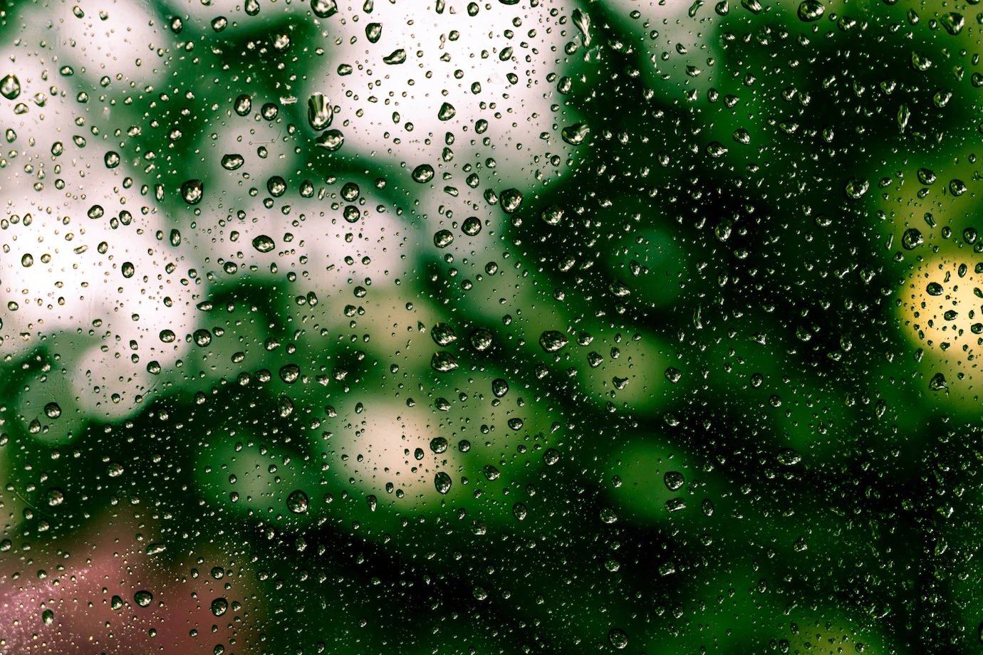 pancadas de chuva - janela