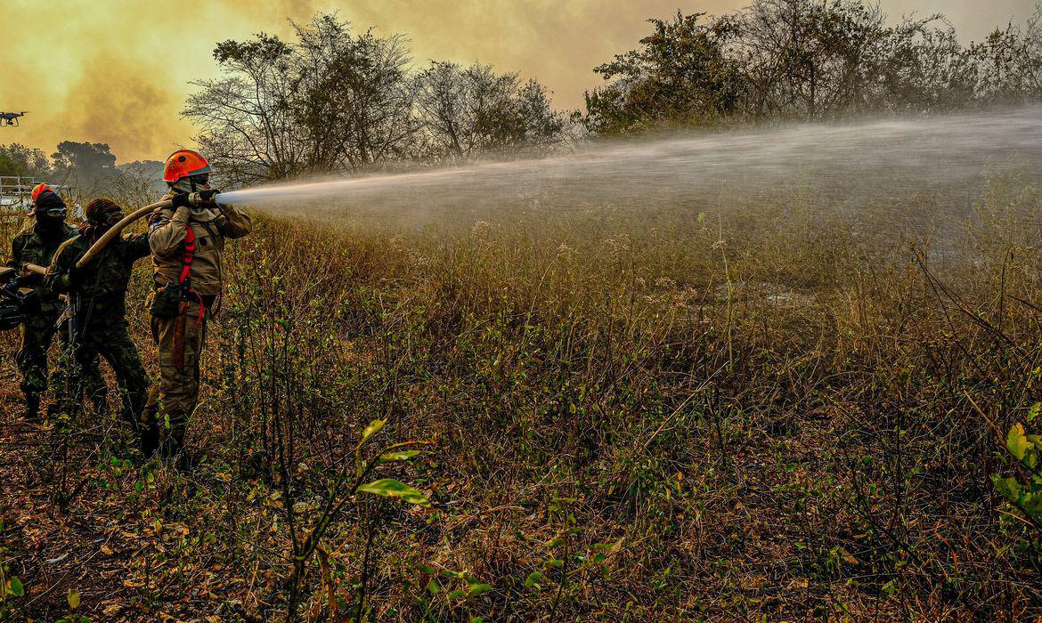 Incêndio Mato Grosso Pantanal