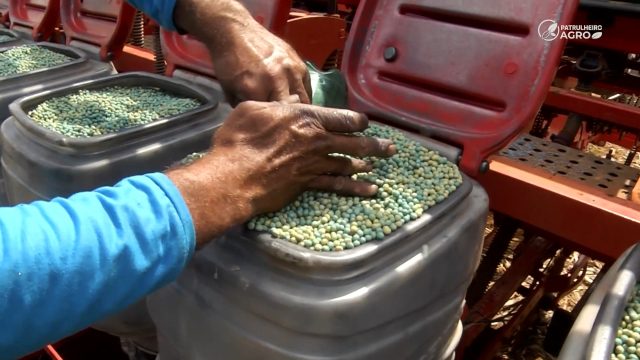 patrulheiro agro 61 plantio soja atrasado região araguaia mato grosso