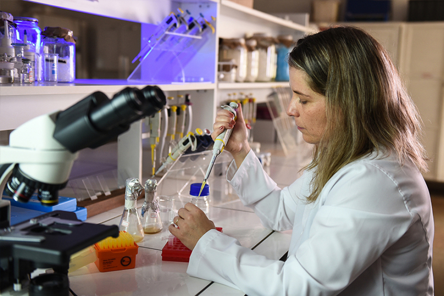 Professora do mestrado em Agronomia da Universidade Estadual do Norte do Paraná (UENP), Mayra Costa da Cruz Gallo de Carvalho, descobriu uma nova forma de biocontrole da doença. Foto: SETI/AEN