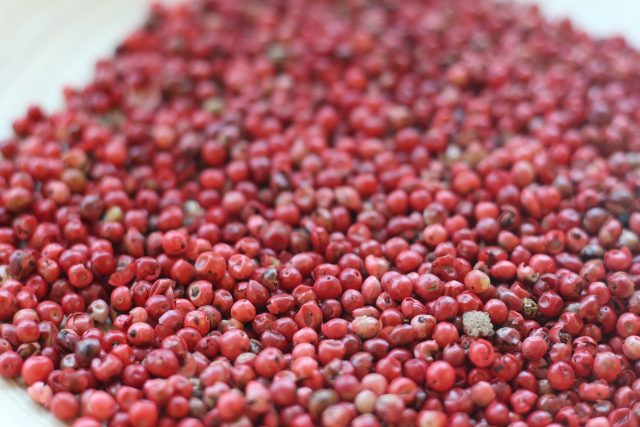 Pimenta-rosa de São Mateus (ES) tem reconhecida indicação geográfica