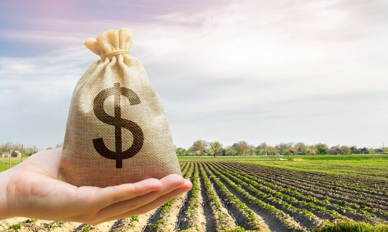 Plano Safra começa com redução na contratação de crédito rural