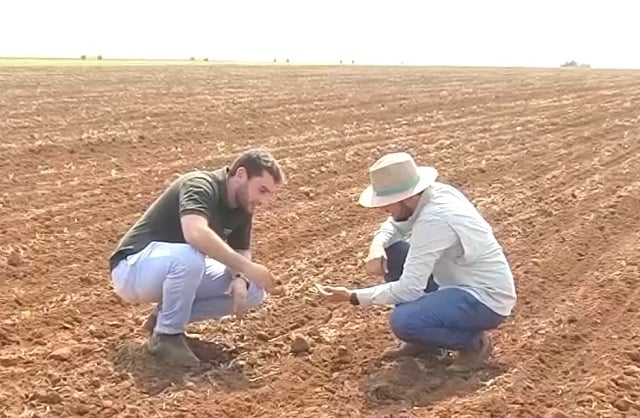 Plantio de soja 25/26 atinge 36% no Brasil, indica AgRural