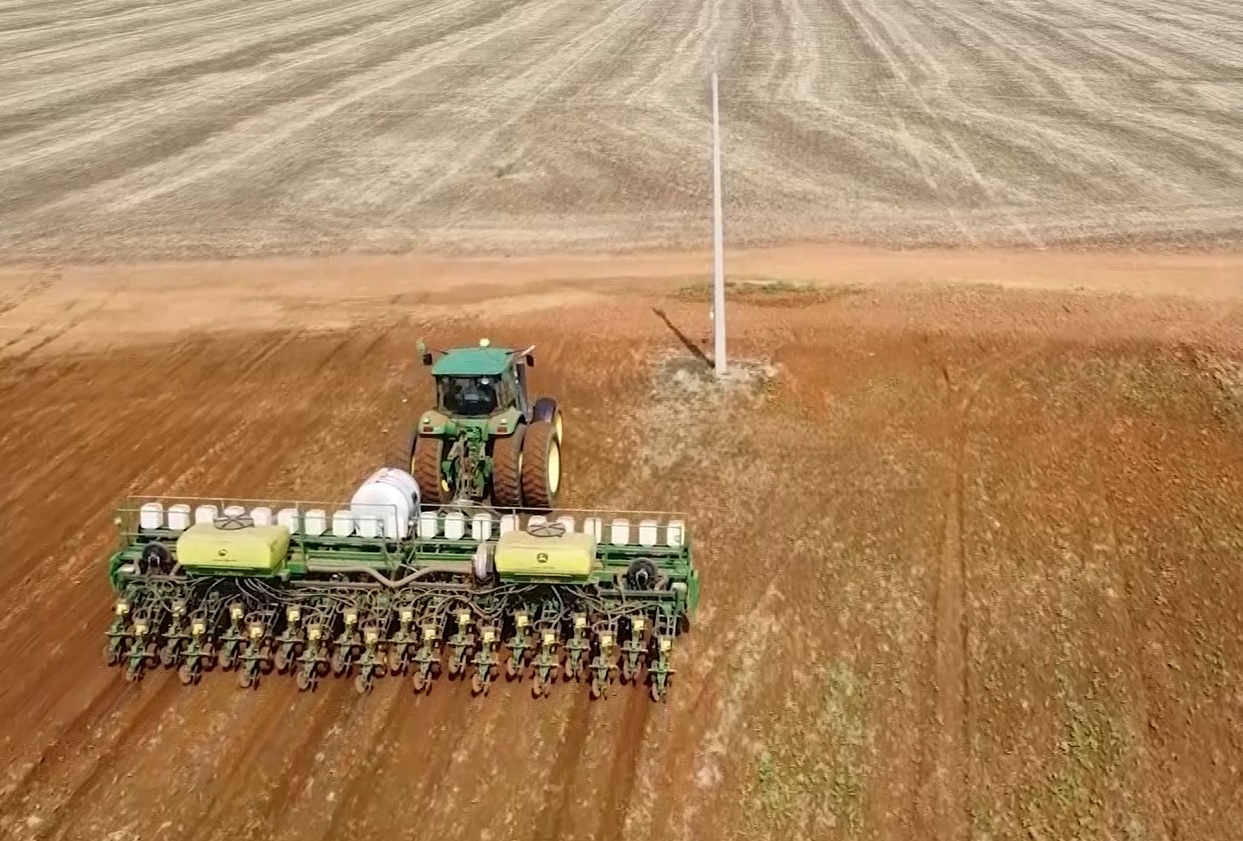 Safra 25/26: plantio de soja atinge 69% no Brasil, aponta Conab