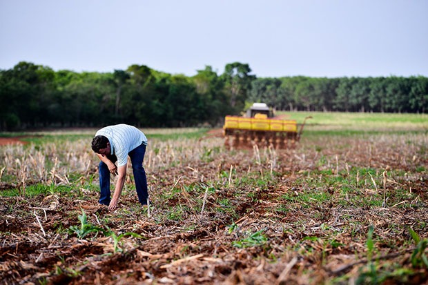 A menor em quase 20 anos! Área de soja semeada terá pouco avanço na safra 25/26