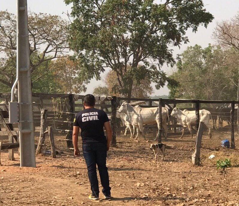 polícia furto de gado go