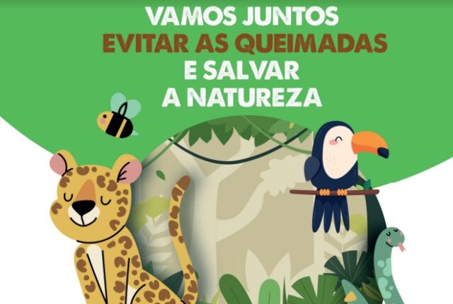 projeto da eldorado brasil de combate a incêndios e a favor da natureza