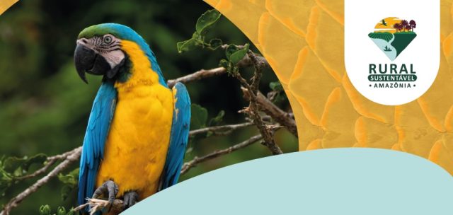projeto rural sustentável - amazônia