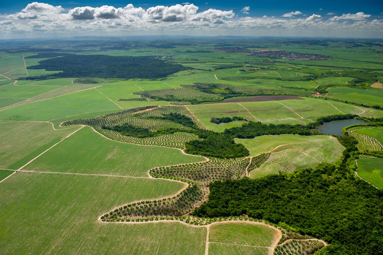 Os desafios e oportunidades do Plano Clima para o agro brasileiro
