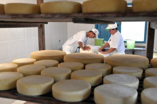 queijos artesanais selo arte queijo