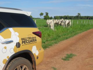 Produtividade cresce 87,2% entre produtores que integram Rally da Pecuária em doze anos