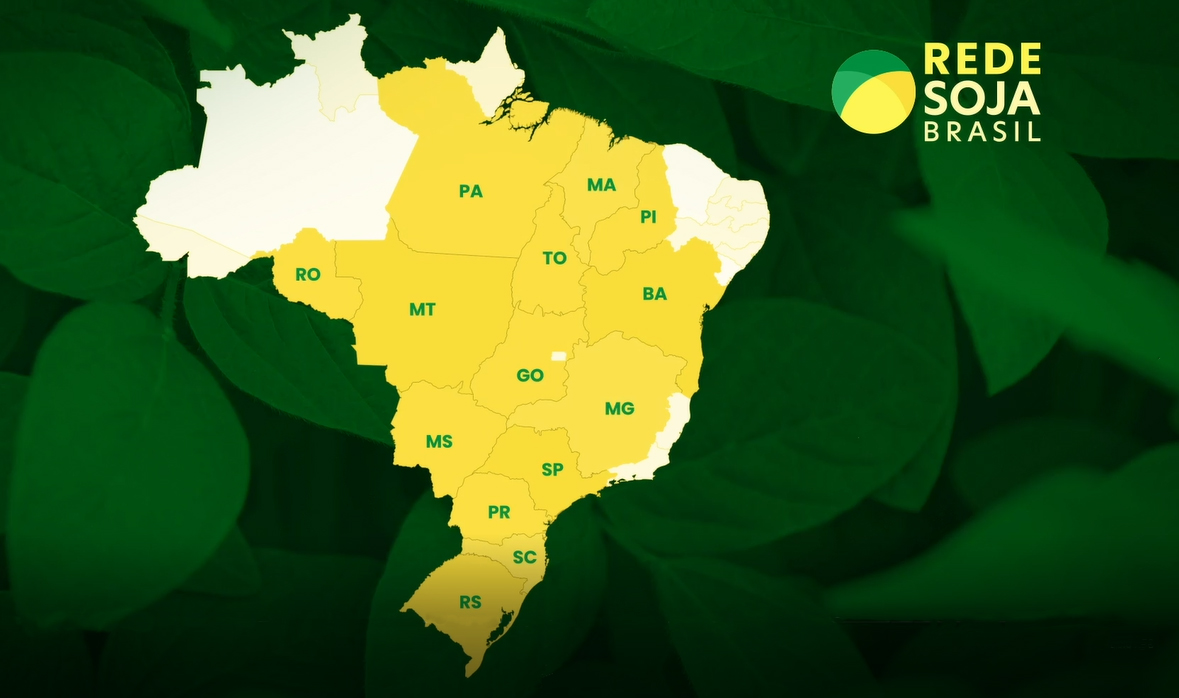 Rede Soja Brasil mostra a situação das lavouras de soja do país. Confira!