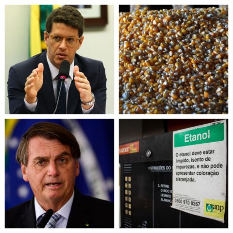 Veja o que foi destaque no Rural Notícias desta semana