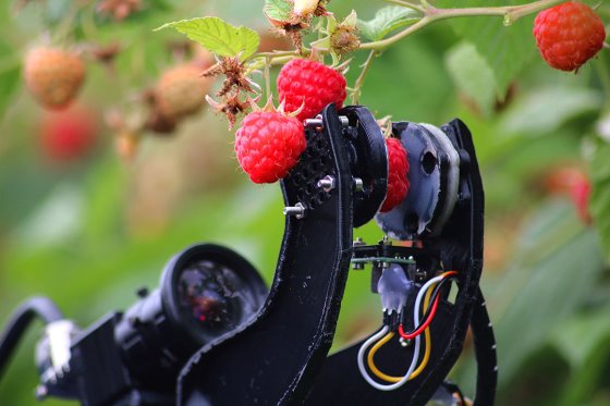 Mercado de robótica agrícola deve quadruplicar em cinco anos, diz estudo