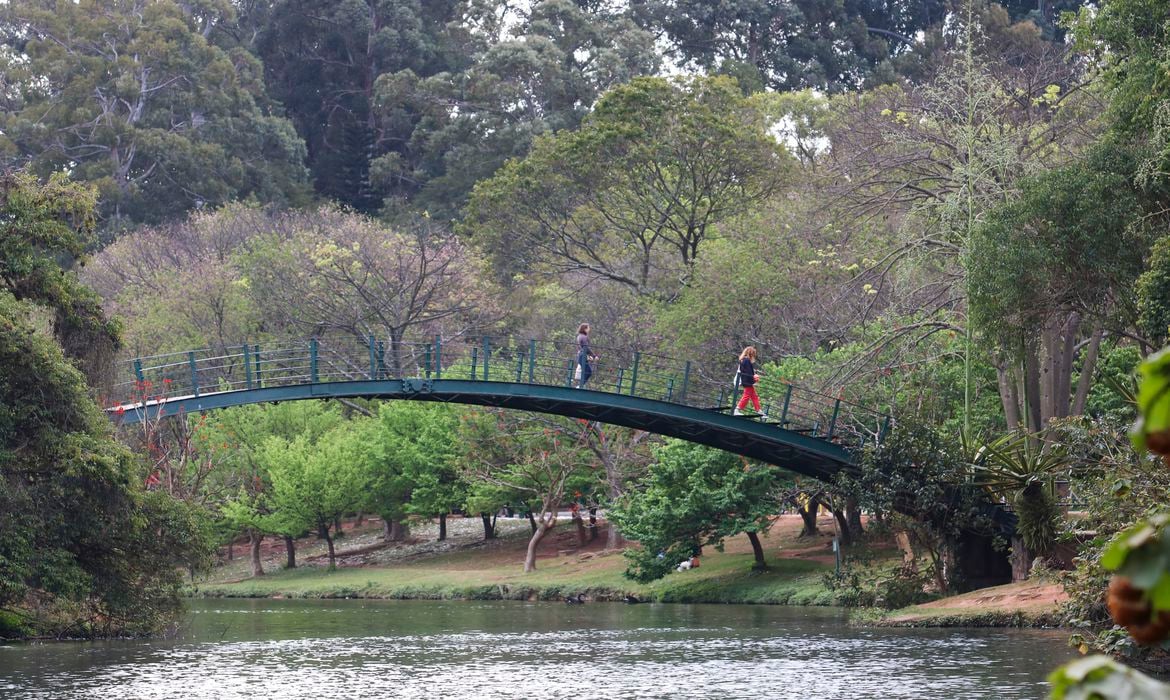 parque Ibirapuera