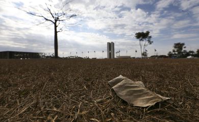 Tempo seco predomina no Brasil nos próximos dias