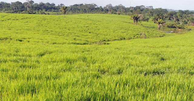 Bolsonaro sanciona lei que torna Teresópolis a 'Capital Nacional do Lúpulo